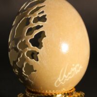 Chouette sur oeuf de faisan – Image 2